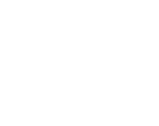 vijo